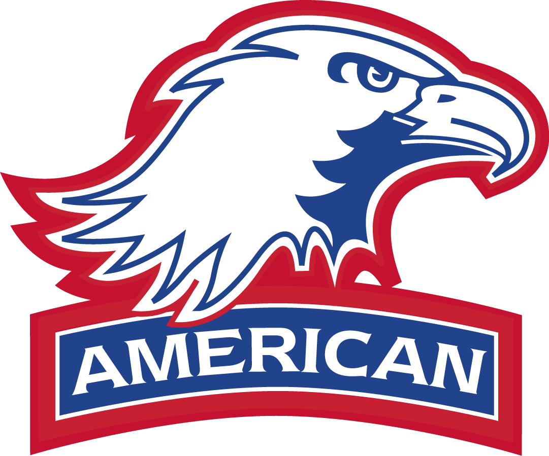 American Eagles 2010-Pres Secondary Logo DIY iron on transfer (heat transfer)